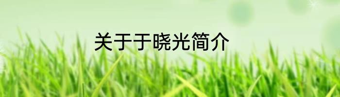 关于于晓光简介