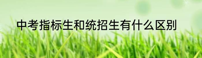 中考指标生和统招生有什么区别