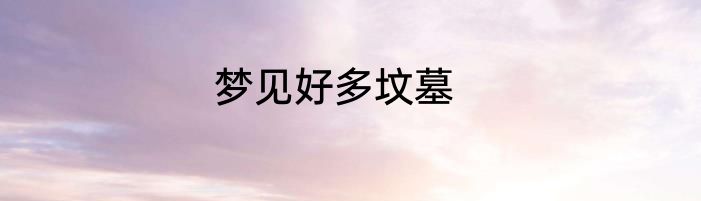 梦见好多坟墓