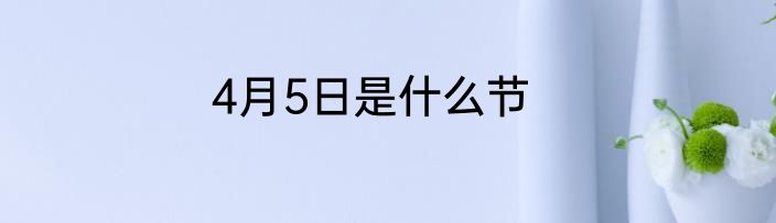 4月5日是什么节