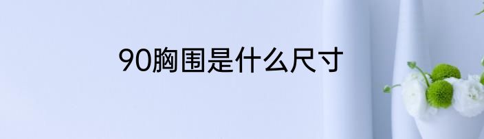 90胸围是什么尺寸