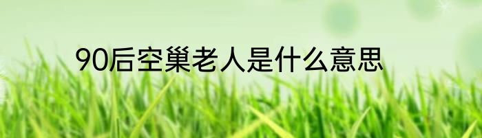 90后空巢老人是什么意思