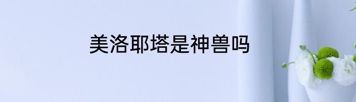 美洛耶塔是神兽吗