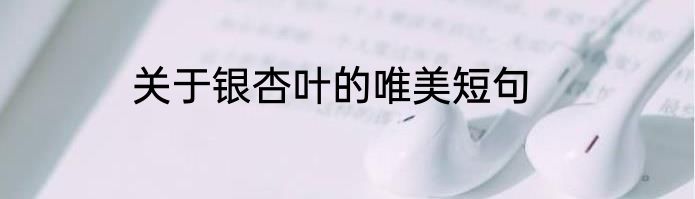 关于银杏叶的唯美短句