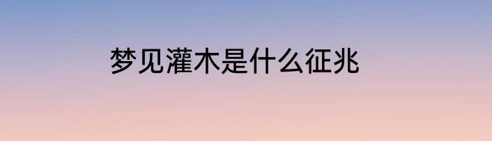 梦见灌木是什么征兆