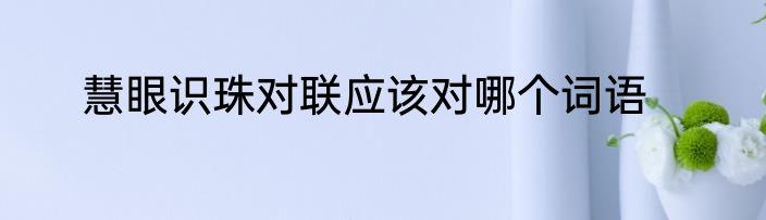 慧眼识珠对联应该对哪个词语
