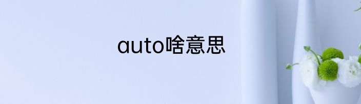 auto啥意思