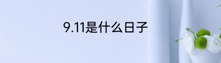 9.11是什么日子