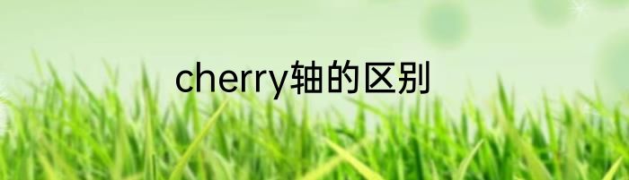 cherry轴的区别