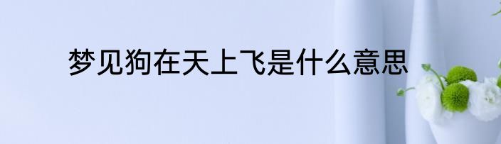 梦见狗在天上飞是什么意思