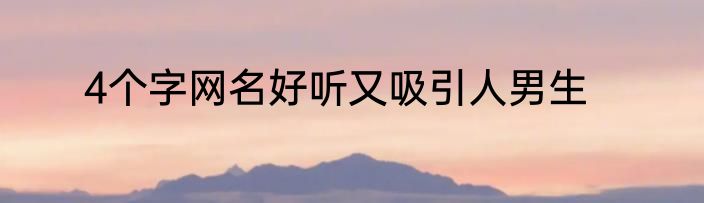 4个字网名好听又吸引人男生