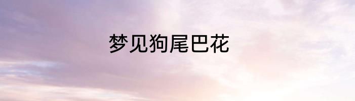梦见狗尾巴花