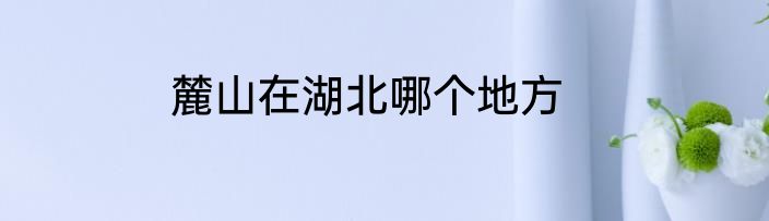 麓山在湖北哪个地方