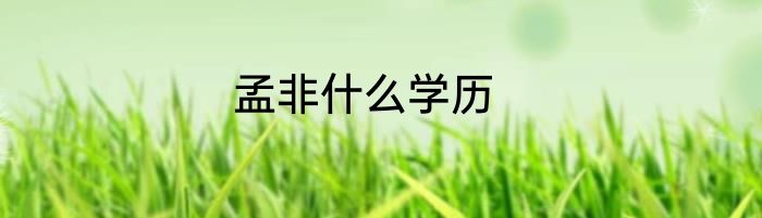 孟非什么学历