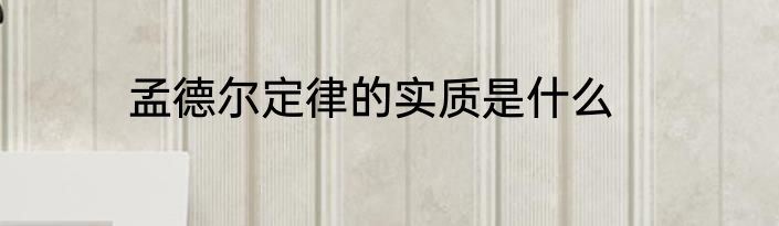 孟德尔定律的实质是什么