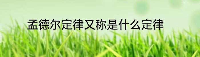 孟德尔定律又称是什么定律
