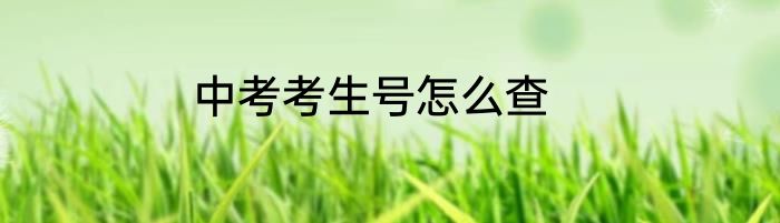 中考考生号怎么查