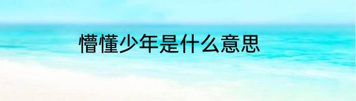 懵懂少年是什么意思