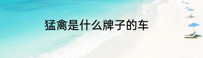 猛禽是什么牌子的车