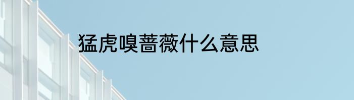 猛虎嗅蔷薇什么意思