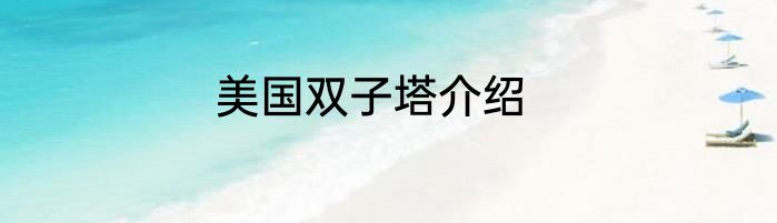 美国双子塔介绍