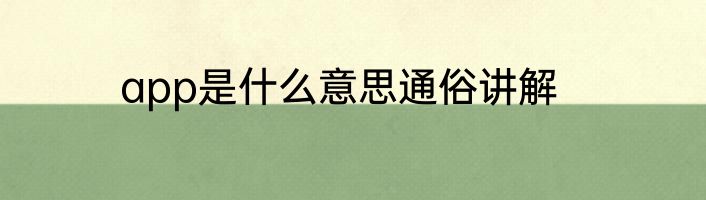 app是什么意思通俗讲解