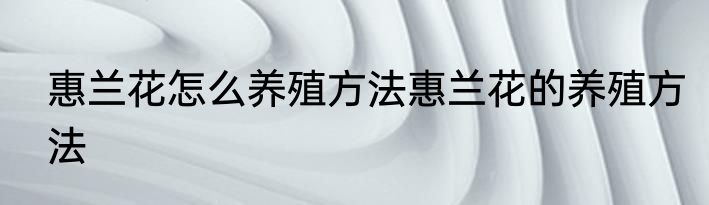 惠兰花怎么养殖方法惠兰花的养殖方法