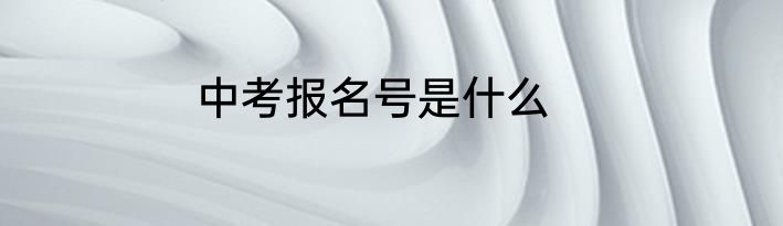 中考报名号是什么