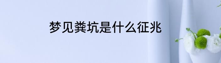 梦见粪坑是什么征兆