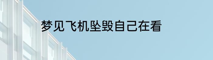 梦见飞机坠毁自己在看