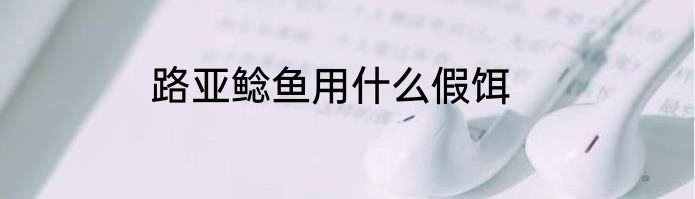 路亚鲶鱼用什么假饵