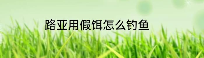 路亚用假饵怎么钓鱼