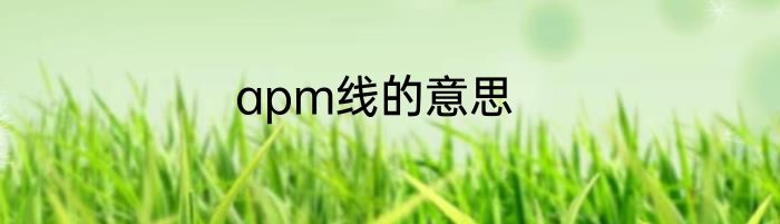 apm线的意思