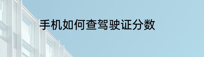 手机如何查驾驶证分数