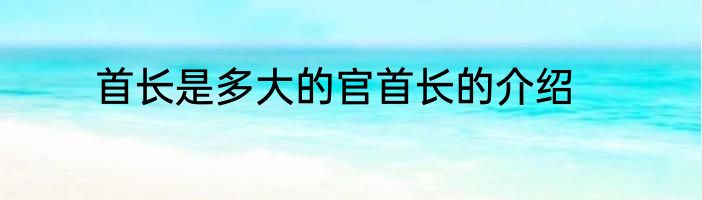 首长是多大的官首长的介绍