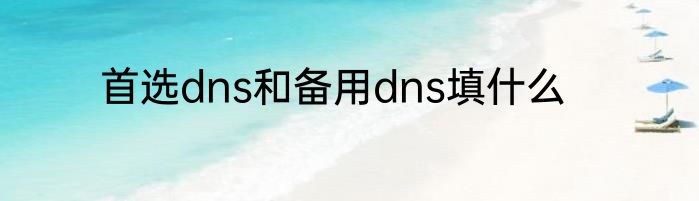 首选dns和备用dns填什么