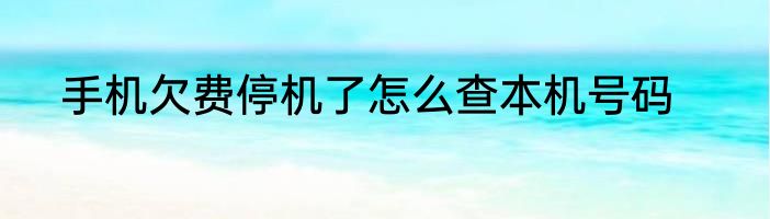 手机欠费停机了怎么查本机号码
