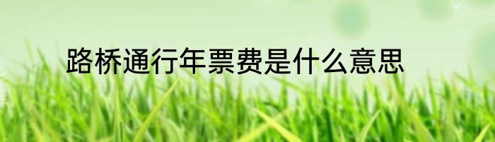 路桥通行年票费是什么意思