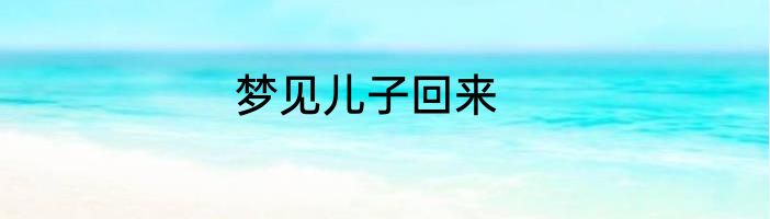 梦见儿子回来