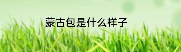 蒙古包是什么样子