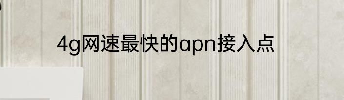 4g网速最快的apn接入点