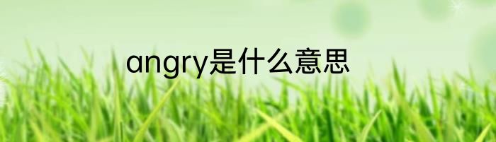 angry是什么意思