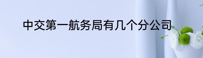 中交第一航务局有几个分公司