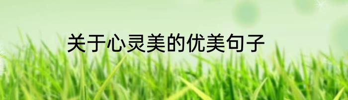 关于心灵美的优美句子