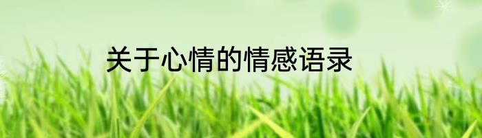 关于心情的情感语录