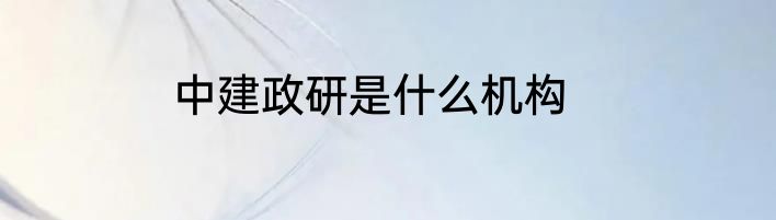 中建政研是什么机构