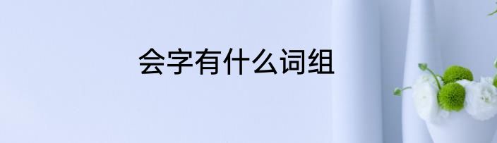 会字有什么词组