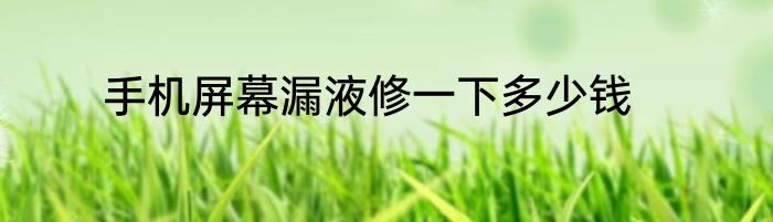 手机屏幕漏液修一下多少钱