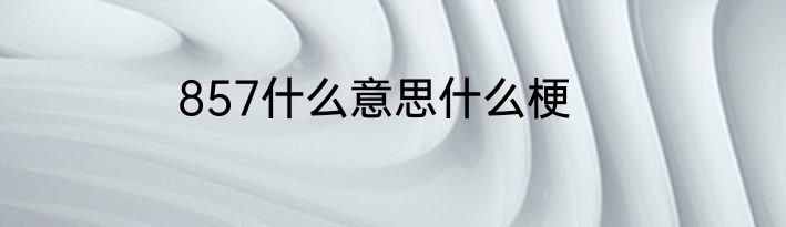 857什么意思什么梗