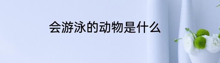 会游泳的动物是什么
